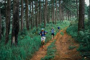 BIB: 
                            <button type="button" onclick="openModal(25659406)" class="btn btn-primary btn-sm float-right btn-popup" data-toggle="modal" data-target=".modal-high-quality">
                        <i class="fas fa-shopping-cart"></i> Add to Cart
                    </button>
                                            <button type="button" onclick="isThisMe(25659406, true)" class="btn btn-success btn-sm float-right btn-popup btn-isme hidden" data-toggle="tooltip" data-placement="bottom" title="นี่คือรูปของคุณใช่ไหม คลิกที่นี่เพื่อเอาเข้าอัลบั้ม">
                        <i class="fas fa-plus"></i> Add to album
                    </button>
                    <button type="button" onclick="isThisMe(25659406, false)" class="btn btn-warning btn-sm float-right btn-popup btn-isnotme hidden">
                        <i class="fas fa-ban"></i> Remove from album
                    </button>